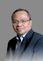Mohd Hisbany Mohd Hashim (Assoc. Prof. Ts. Dr.)