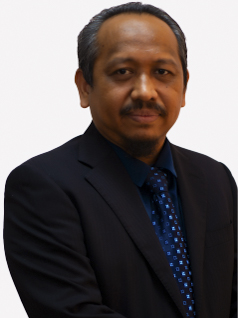 Mohd Raizamzamani Bin Md Zain (Ts. Dr.) 